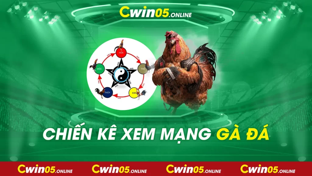 xem mạng gà đá 02